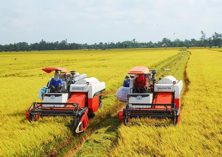 Manyeding Rice Project Around 2.7 billion USD needed to carry out 1 million ha high-quality ...