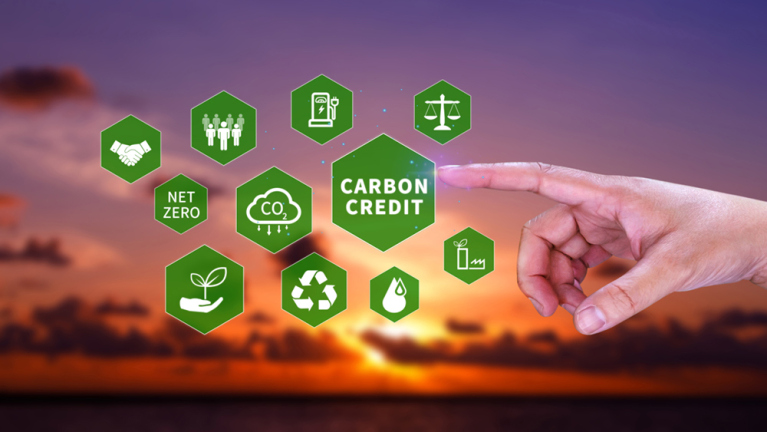 3 cơ chế trao đổi tín chỉ carbon quốc tế tại Việt Nam | NetZero.VN ...