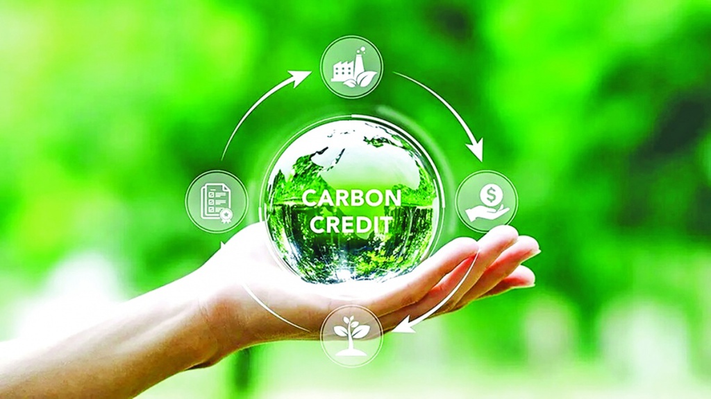Thị trường carbon: Từ chính sách đến hành động | NetZero.VN - Net Zero ...